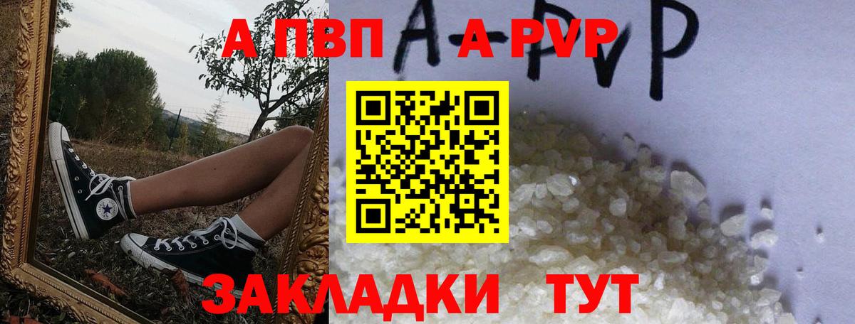 Alfa_PVP СК КРИС Череповец