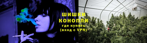 ГАЛЛЮЦИНОГЕННЫЕ ГРИБЫ Алзамай