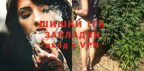 индика Краснотурьинск