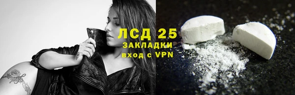 индика Краснотурьинск