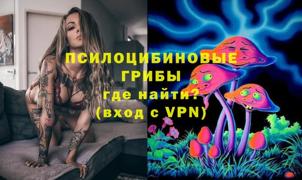 крисы Абаза
