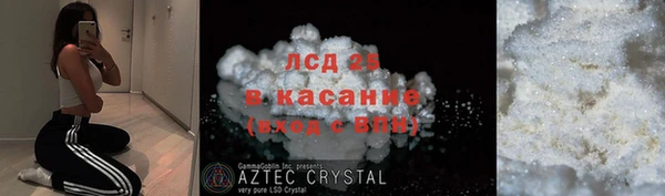 ГАЛЛЮЦИНОГЕННЫЕ ГРИБЫ Алзамай