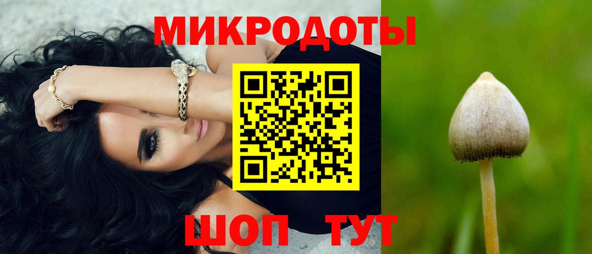 Галлюциногенные грибы GOLDEN TEACHER  Вход с VPN  Череповец 
