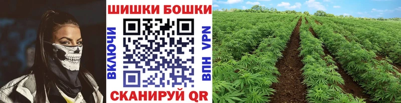 наркошоп  Череповец  Бошки Шишки Amnesia 